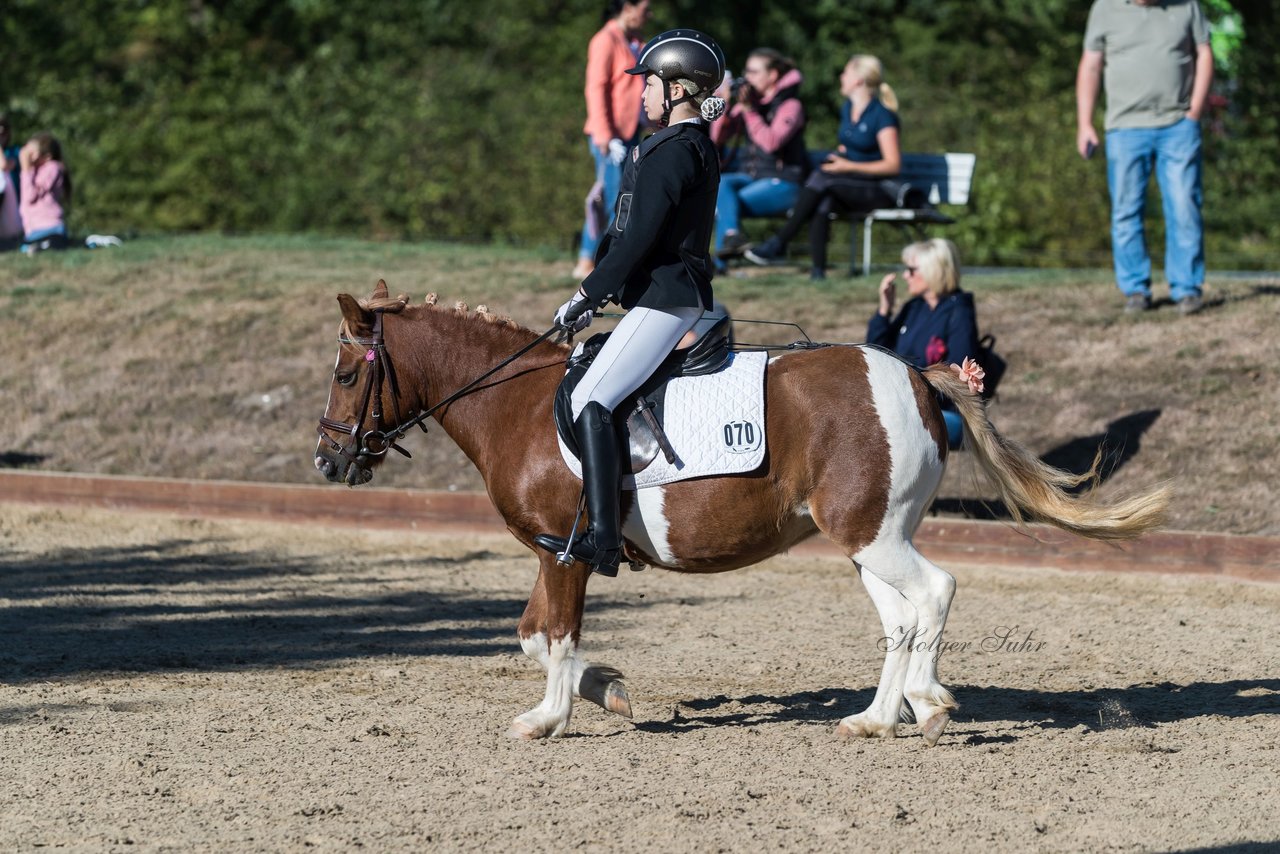 Bild 37 - Pony Akademie Turnier